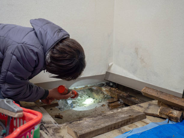 Best Airborne Mold Testing  in Nikiski, AK