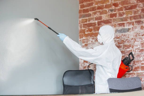 Best Environmental Consulting for Mold Prevention  in Nikiski, AK
