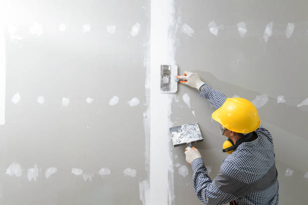 Professional Mold Removal in Nikiski, AK
