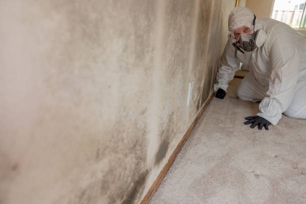 Best Residential Mold Inspection & Testing  in Nikiski, AK