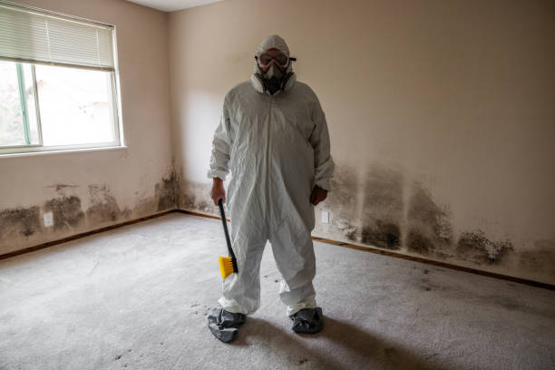 Best HVAC Mold Inspection and Cleaning  in Nikiski, AK