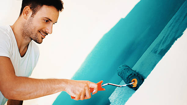 Best Mold Damage Restoration  in Nikiski, AK