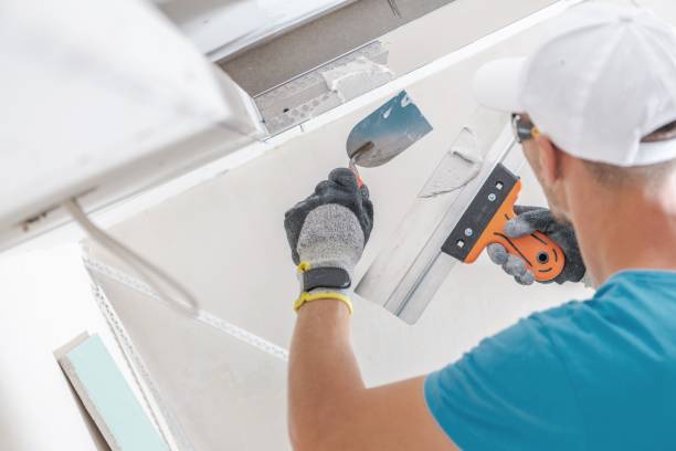 Mold Odor Removal Services in Nikiski, AK